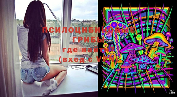 бошки Горно-Алтайск