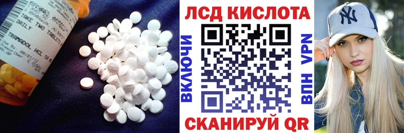 Купить закладки  Александровское  LSD-25 экстази кислота 