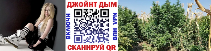 Купить  Александровское  Каннабис White Widow 